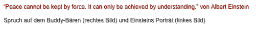 “Peace cannot be kept by force. It can only be achieved by understanding.” von Albert Einstein
Spruch auf dem Buddy-Bären (rechtes Bild) und Einsteins Porträt (linkes Bild)
http://www.united-buddy-bears.com
