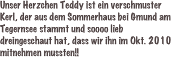 Unser Herzchen Teddy ist ein verschmuster Kerl, der aus dem Sommerhaus bei Gmund am Tegernsee stammt und soooo lieb dreingeschaut hat, dass wir ihn im Okt. 2010 mitnehmen mussten!!