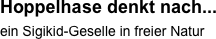Hoppelhase denkt nach... 
ein Sigikid-Geselle in freier Natur