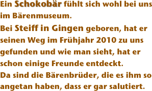 Ein Schokobär fühlt sich wohl bei uns im Bärenmuseum.  
Bei Steiff in Gingen geboren, hat er seinen Weg im Frühjahr 2010 zu uns gefunden und wie man sieht, hat er schon einige Freunde entdeckt.
Da sind die Bärenbrüder, die es ihm so angetan haben, dass er gar salutiert. 