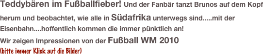 Teddybären im Fußballfieber! Und der Fanbär tanzt Brunos auf dem Kopf herum und beobachtet, wie alle in Südafrika unterwegs sind.....mit der Eisenbahn....hoffentlich kommen die immer pünktlich an!          
Wir zeigen Impressionen von der Fußball WM 2010 
(bitte immer Klick auf die Bilder)